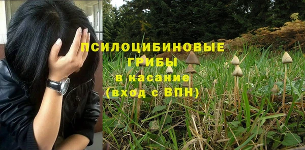 ГАЛЛЮЦИНОГЕННЫЕ ГРИБЫ Алексеевка
