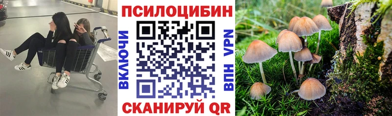 Галлюциногенные грибы GOLDEN TEACHER  как найти закладки  Наволоки 